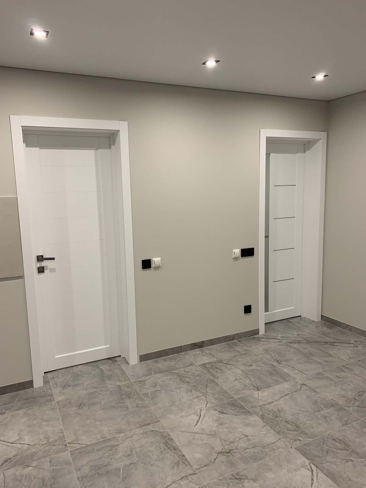 Вхідні двері